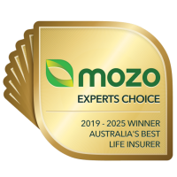 mozo web