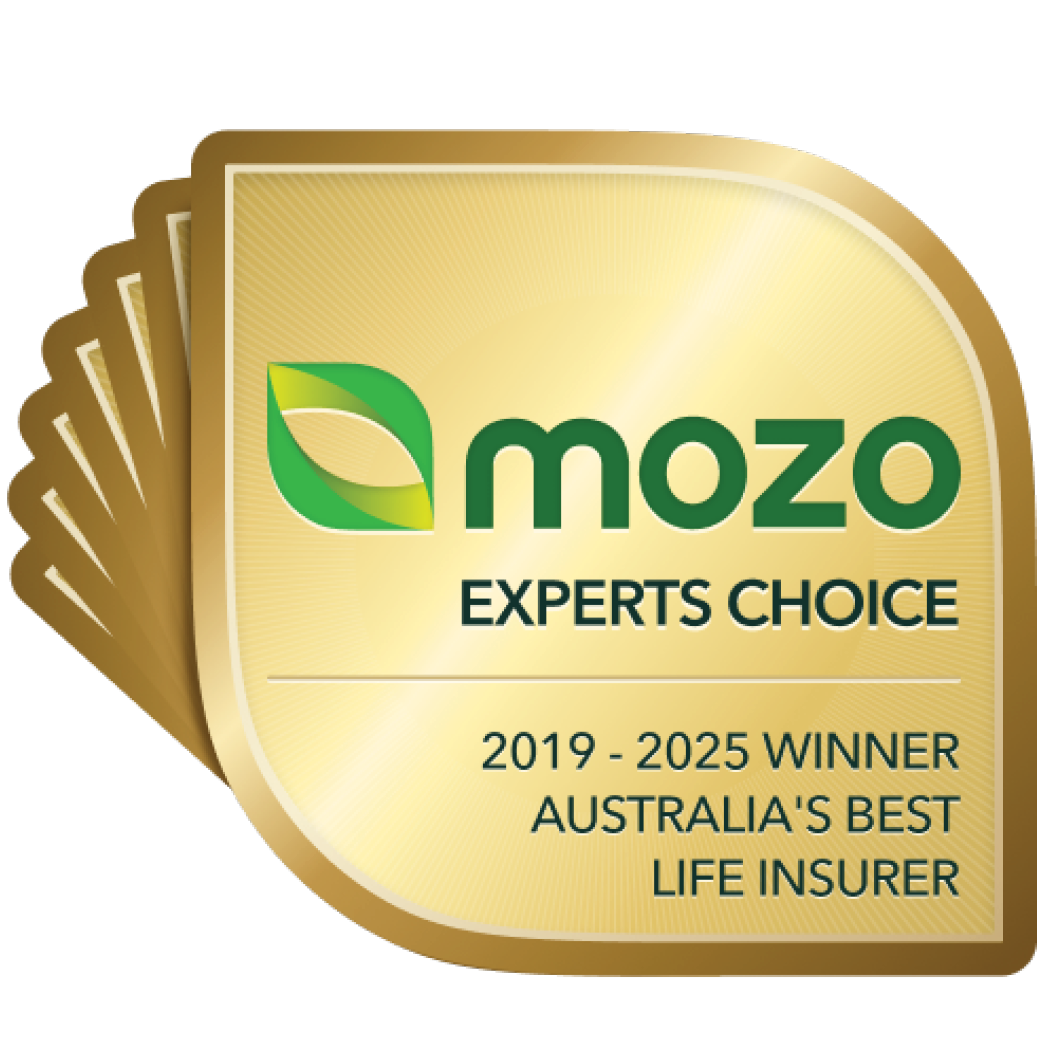 mozo web